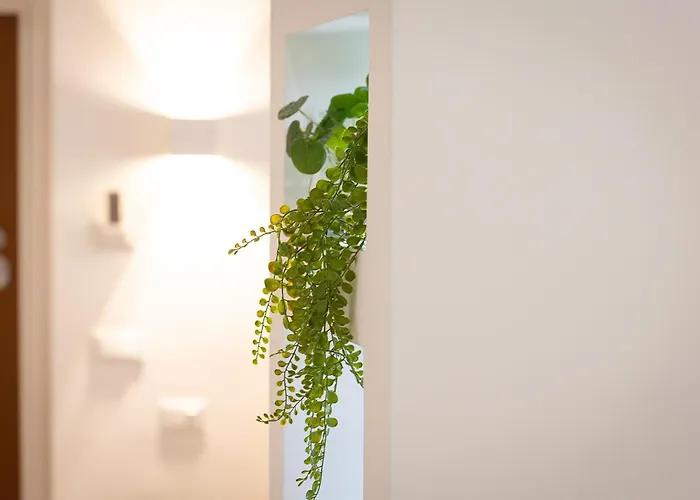 Apartament Navona Modern By In *